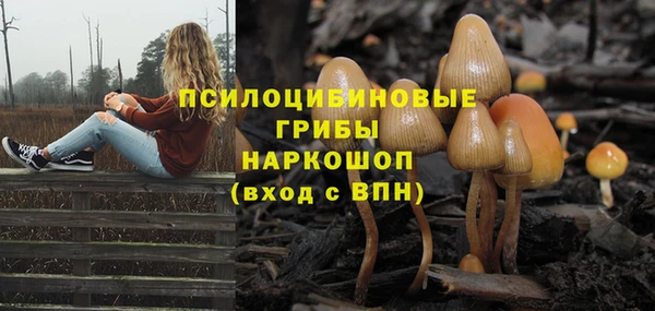 MESCALINE Арсеньев
